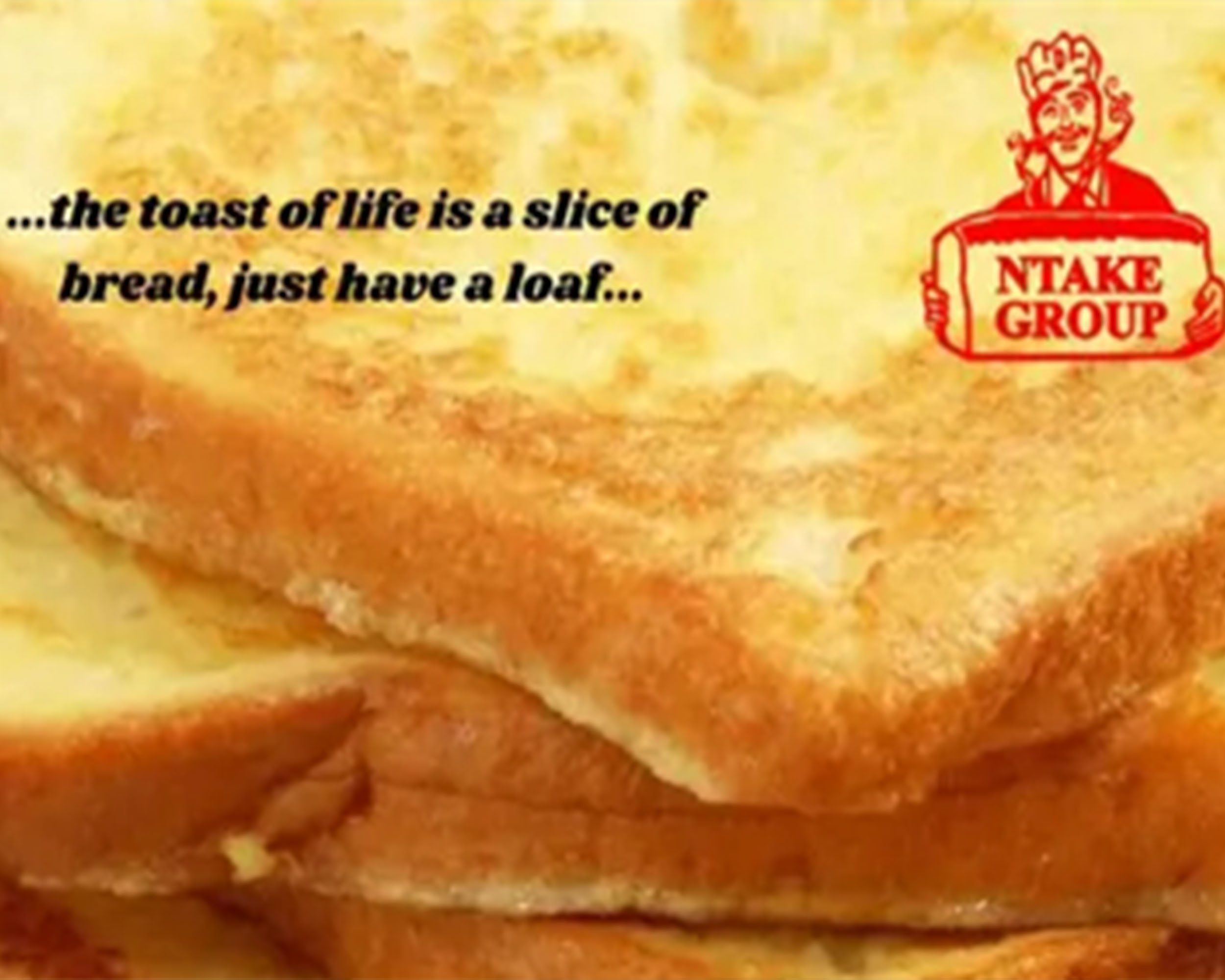 Ntake Bakery Company Limited (NBCL): Institutional Support