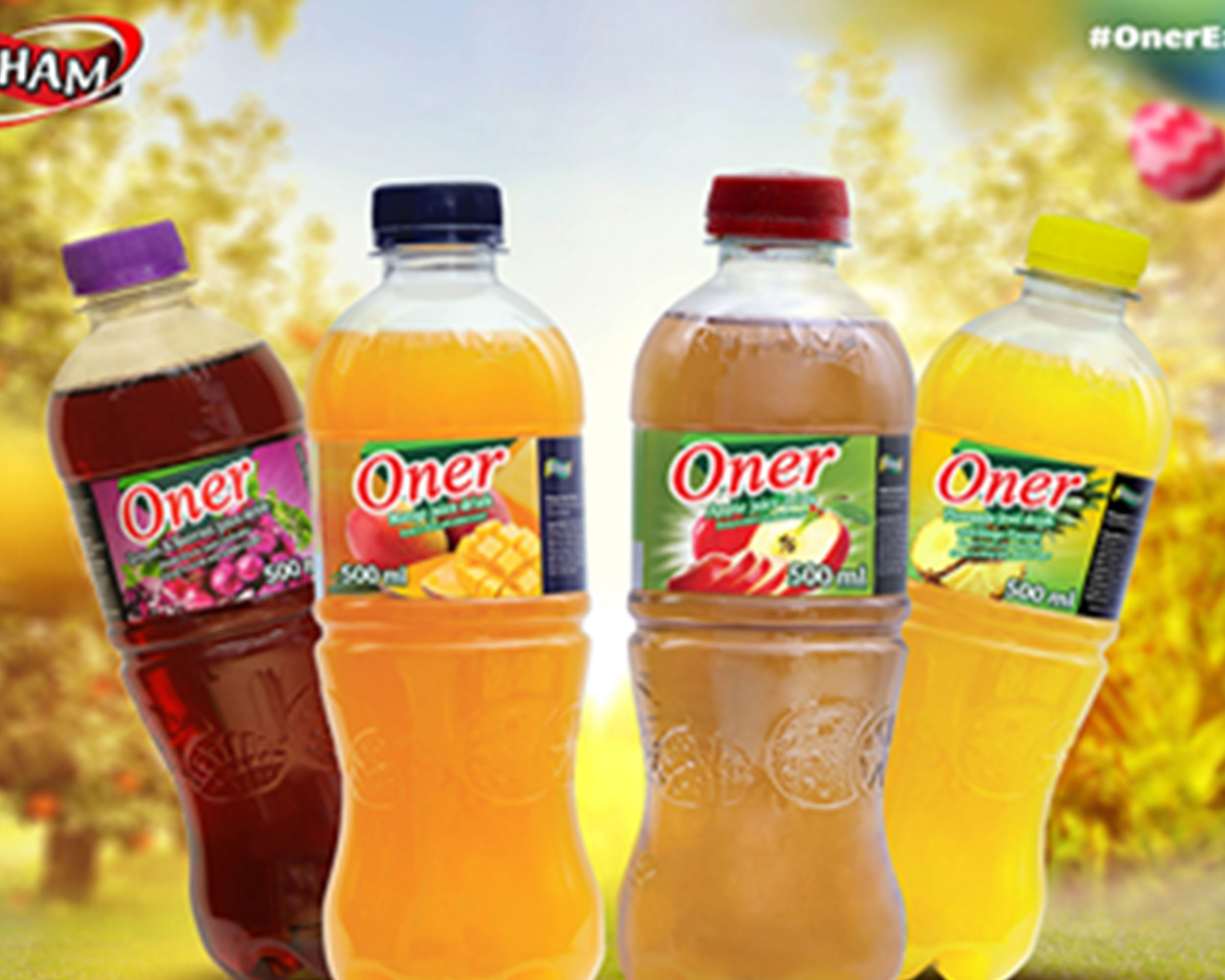 Harris International:  Presentation Skills Training